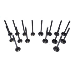 Intake & Exhaust Valve Kit for 2001-2011 Hyundai Kia Accent Rio 1.6L 2221126600 6B93BC-57
