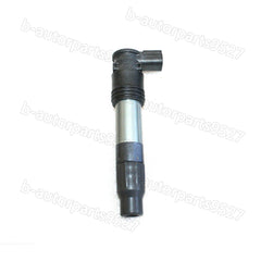 2PCS For Kawasaki Ninja 300 EX300 2013-2017 Ignition Coil 21171-0033 129700-5430 6B93BC-57