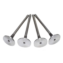 4PCS Engine Exhaust Valve Fit AUDI A4 Quattro VW GOLF JETTA PASSAT 058109611E 6B93BC-57