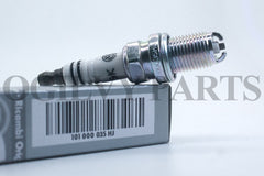 Set 6 BKR6EKUB 101000035HJ NGK Spark Plugs For Audi A4 A6 A8 S6 S8 VW BMW
