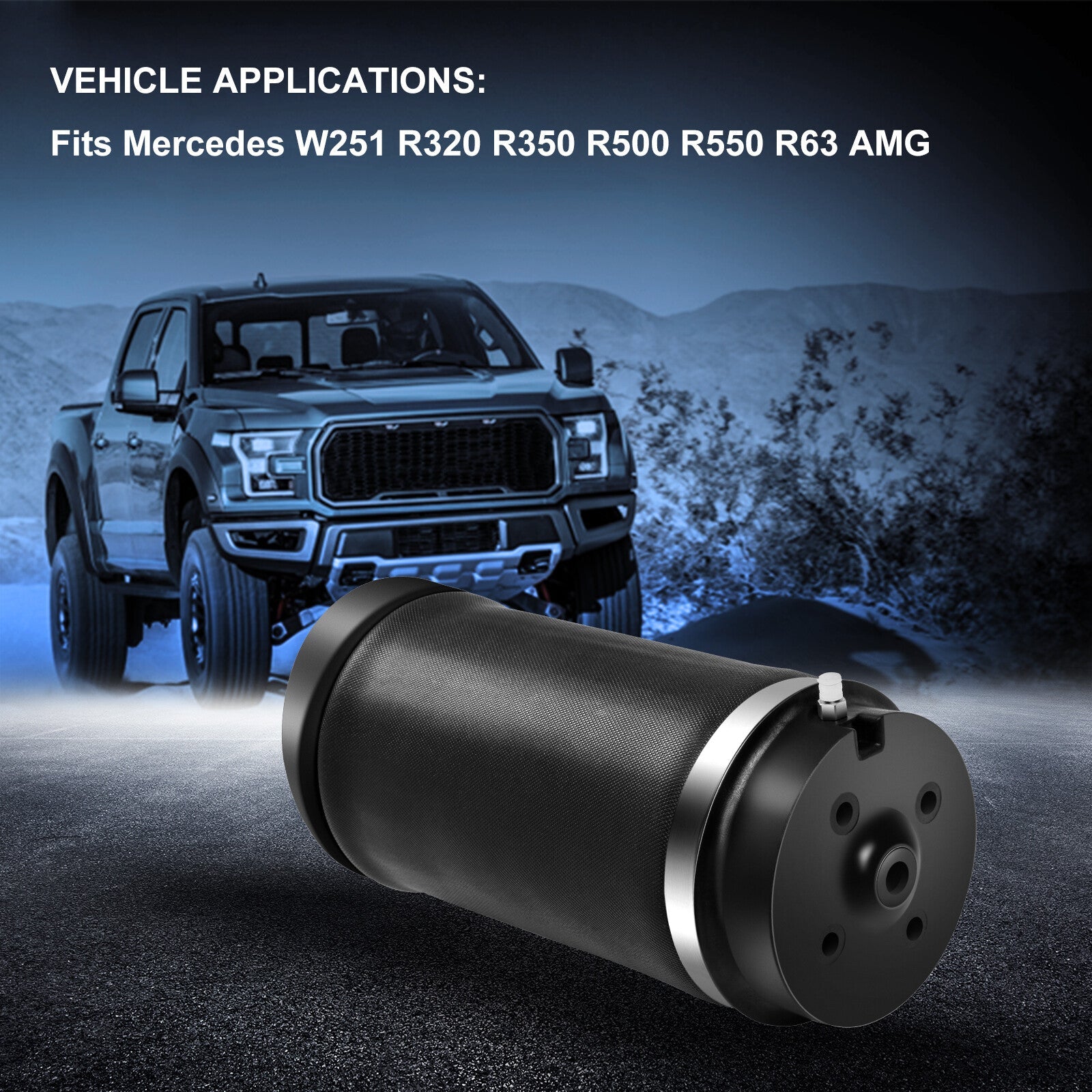 Air Suspension Rear Air Spring Fits Mercedes W251 R320 R350 R500 R550 R63 AMG 6B93BC-57