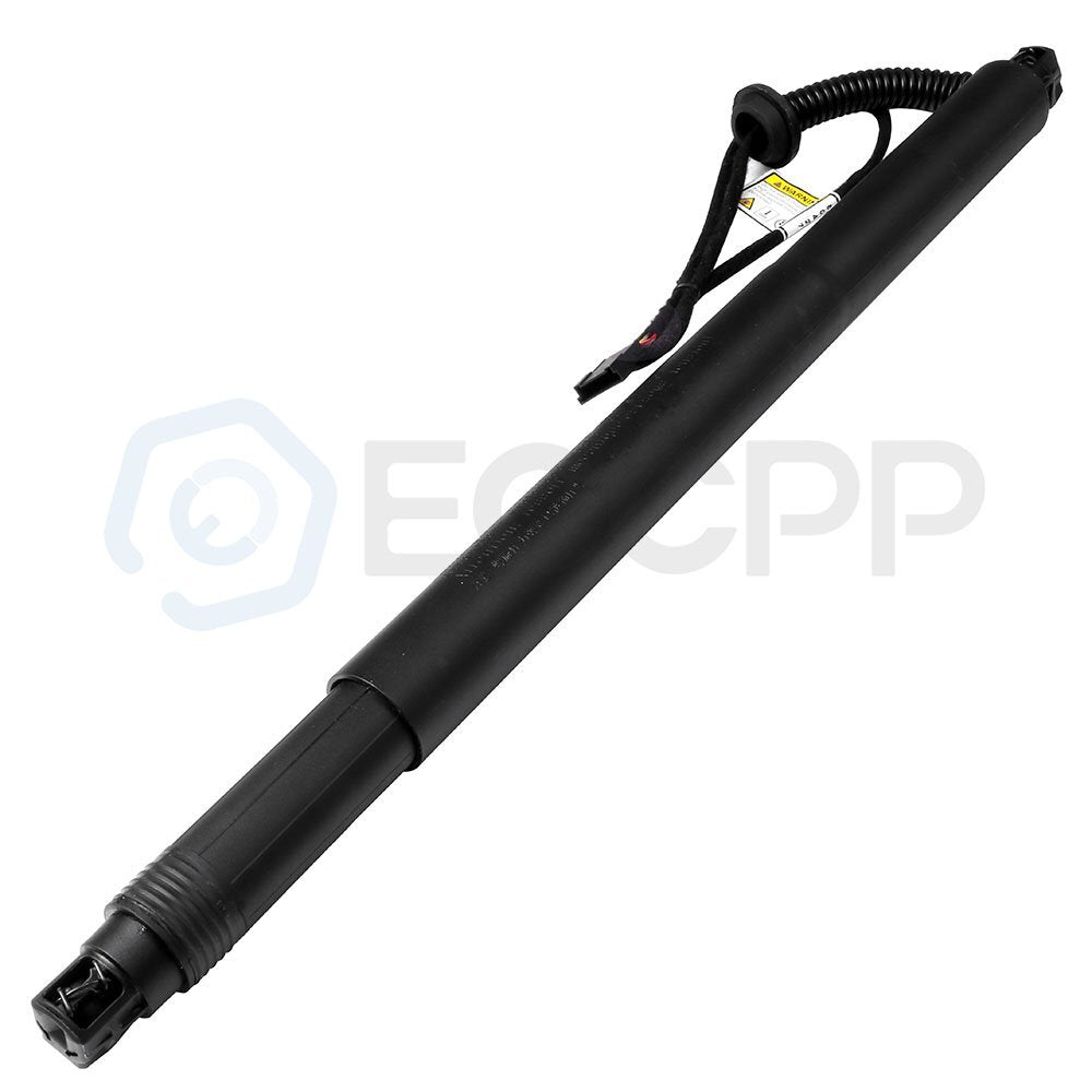 2x Rear Left & Right Liftgate Lift Supports Struts Shocks For 2015-2016 BMW X6 6B93BC-57