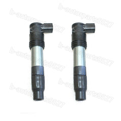 Set of 2 Ignition Coil for 13-2017 Ninja 300 2015-24 Vulcan S EN650 Versys 650
