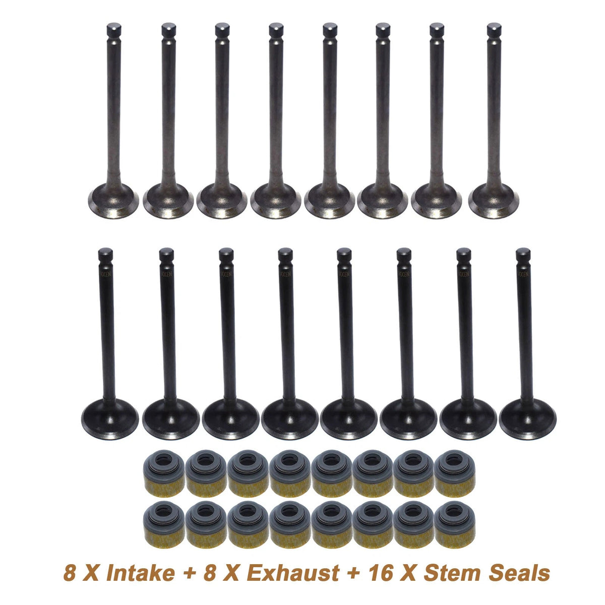 Intake Exhaust Valve w/ Valve Stem Seals For Hyundai ACCENT Kia RIO 1.6L 01-11 6B93BC-57