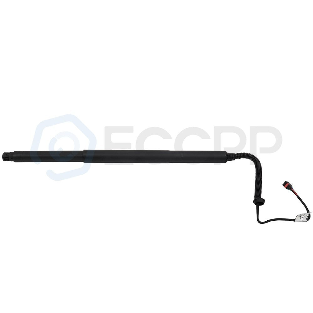 ECCPP 1x Rear L/R Tailgate Electric Lift Support For 2018-2020 Volkswagen Tiguan ECCPP