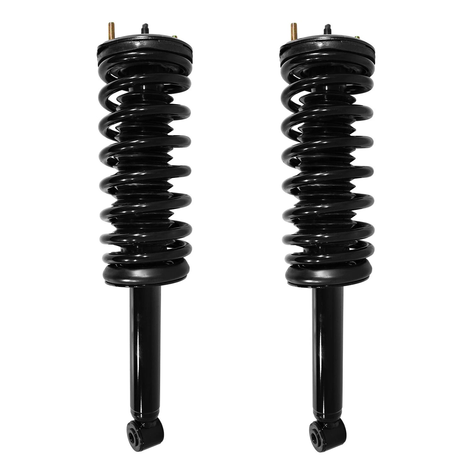 Rear Complete Strut Assembly Kit for 1995-1999 Nissan Maxima, 1996-1999 6B93BC-57
