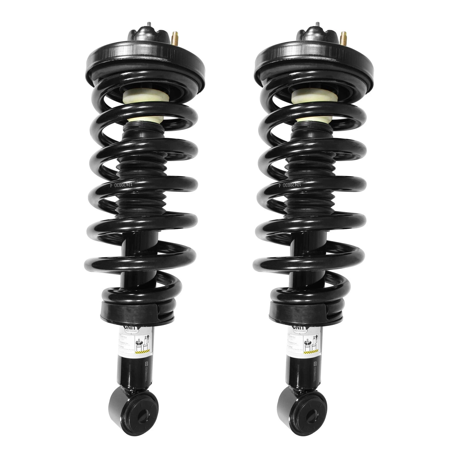 Rear Complete Strut Assembly Kit for 2003-2006 Ford Expedition 6B93BC-57