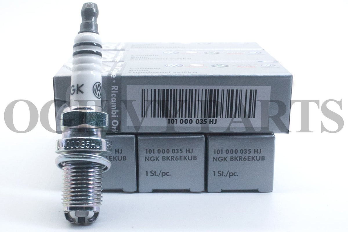Set 6 BKR6EKUB 101000035HJ NGK Spark Plugs For Audi A4 A6 A8 S6 S8 VW BMW
