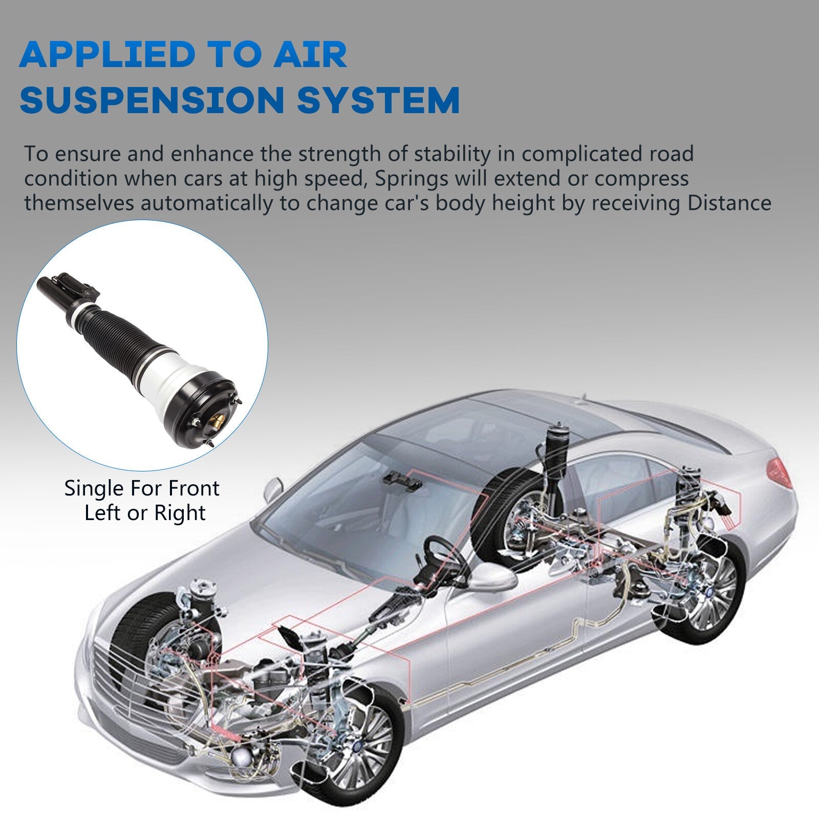 Front Air Suspension Shock Strut For Mercedes W220 S320 S430 S500 S600 S55 S65 6B93BC-57