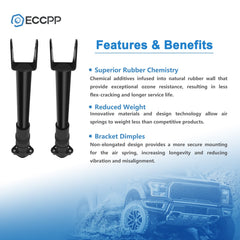 Rear Pair air suspension shock struts For Mercedes W251 R320 R350 R500 w/o ADS 6B93BC-57