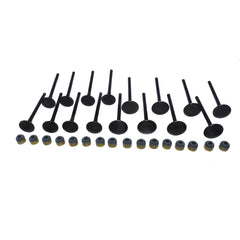 Intake Exhaust Valve w/ Valve Stem Seals For Hyundai ACCENT Kia RIO 1.6L 01-11 6B93BC-57