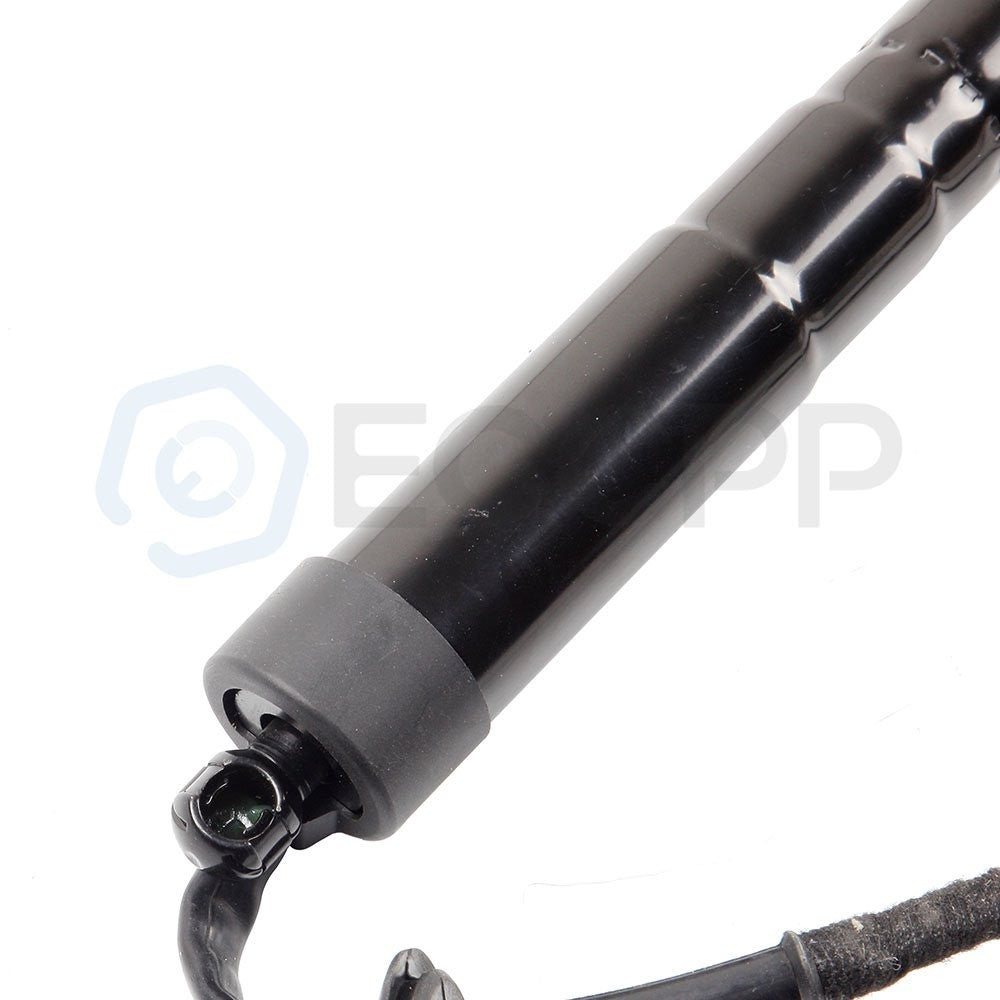 ECCPP 2x Tailgate Lift Supports L&R For 2014-2017 Land Rover Range Rover Sport ECCPP