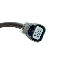 LS1 to LS2 Throttle Body Adapter Harness for 1997-2004 Chevy C5 Corvette DBW TB 6B93BC-57