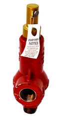 Taylor Valve Technology 825E8351352 Safety Relief Valve 1 T-8250-1 TAYLOR