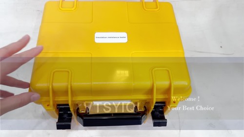 High Voltage Insulation Resistance Tester with Range 0.005MΩ～10.00TΩ 50V-10kV 6B93BC-57
